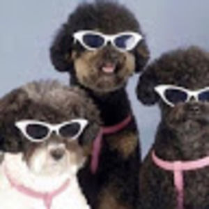 Meet your Posher, Jael